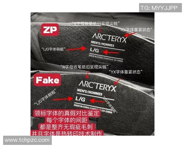 始祖鸟真假鉴别技巧与方法详解助你轻松辨识真伪